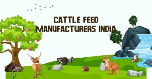 Cattle Feed Manufacturers India 2024